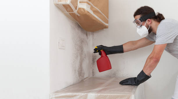 Professional Crawl Space Mold Remediation technician working in Fairplay, GA