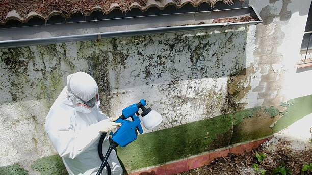 Top rated local Crawl Space Mold Remediation specialists in Fairplay, GA